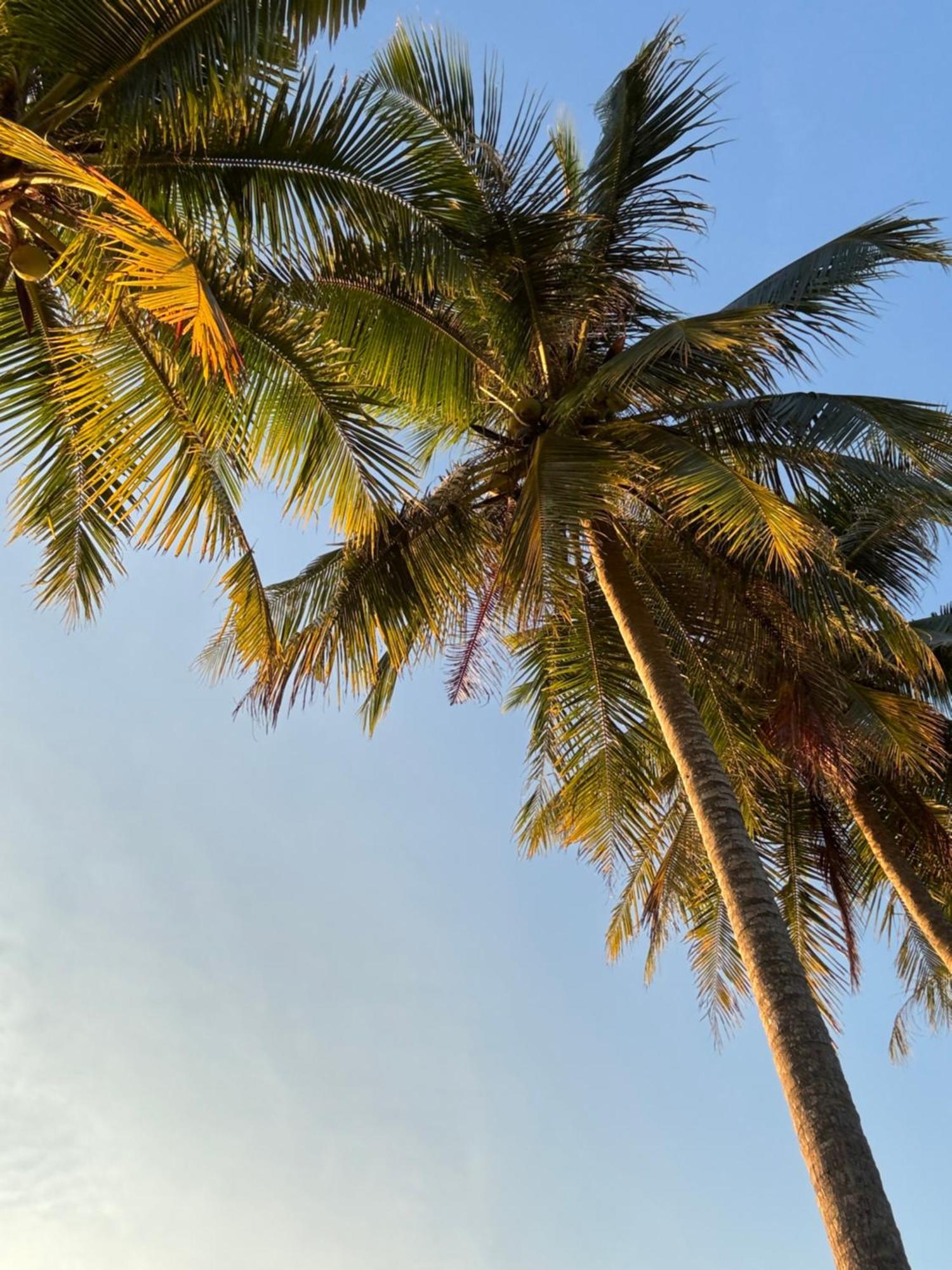 Coco Canopy Boutique Resort Koh Jum Εξωτερικό φωτογραφία