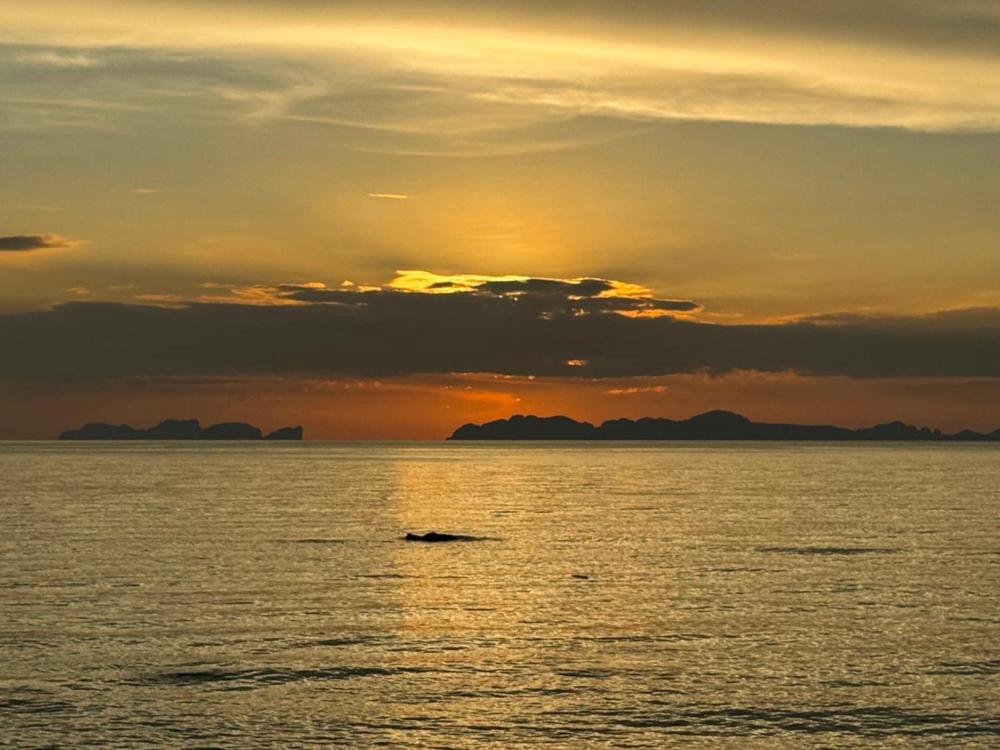 Coco Canopy Boutique Resort Koh Jum Εξωτερικό φωτογραφία